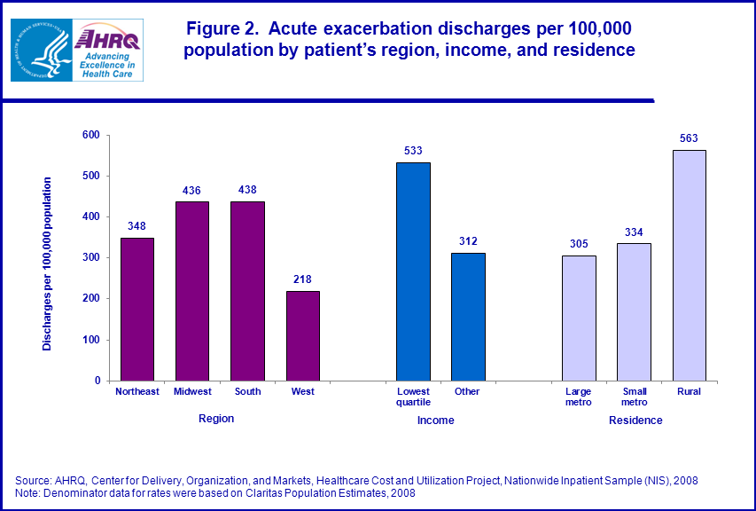 Figure 2 is a bar chart illustrating the acute exacerbation discharges per 100,000 population by patient’s region, income, and residence.