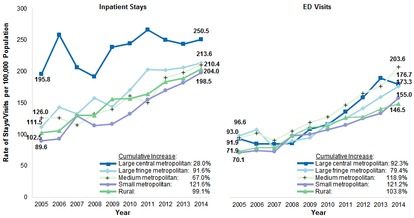 Figure 1 is two-line graphs illustrating the rate of inpatient stays and emergency department visits per 100,000 population from 2005 to 2014 by patient location.