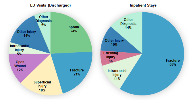 Figure 3 is a 2-part pie chart, one part illustrates the percentage of discharged emergency department visits and the other illustrates the percentage of inpatient stays, both broken out by primary type of injury.