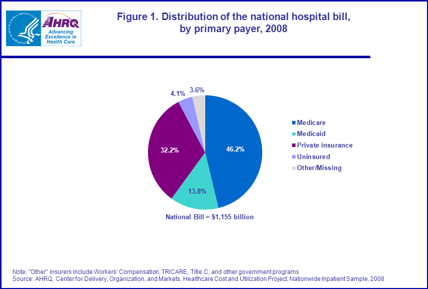 Figure 1 is a pie chart illustrating the distribution of the national hospital bill, by primary payer in 2008.