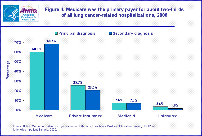 Figure 4. Medicare was the primary payer for about two-thirds of all lung cancer-related hospitalizations, 2006