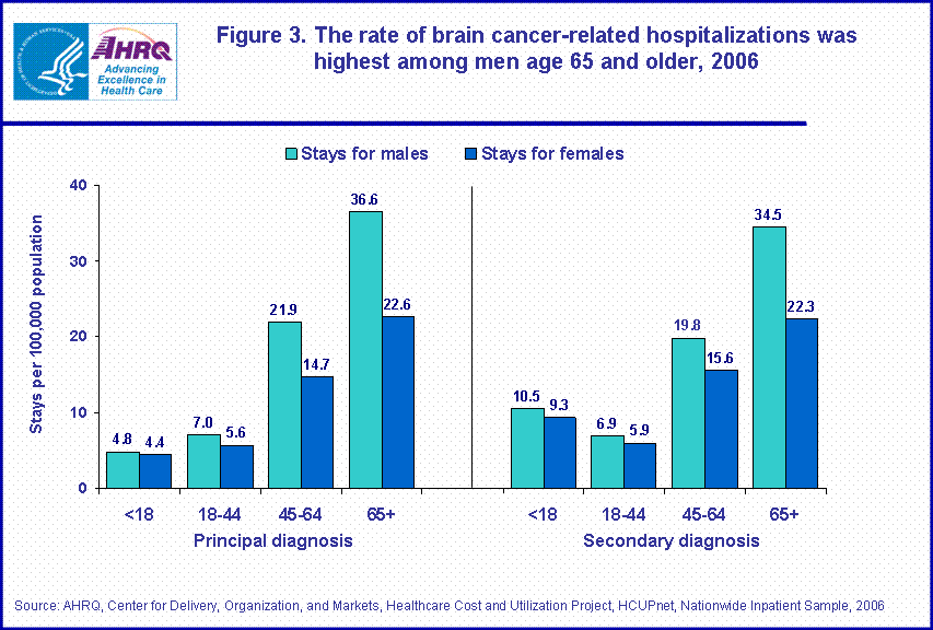 Figure 3. The rate of brain cancer-related hospitalizations was highest among men age 65 and older, 2006