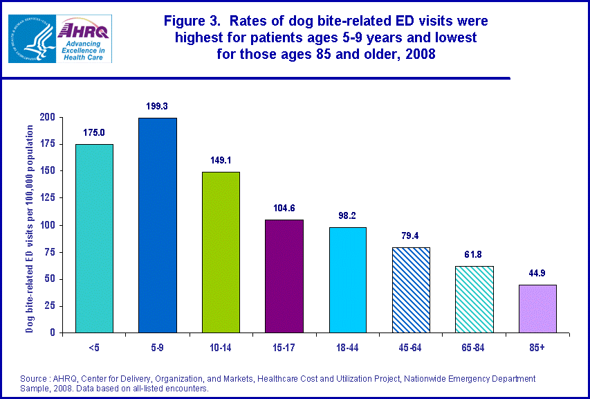 Dog Bite Chart
