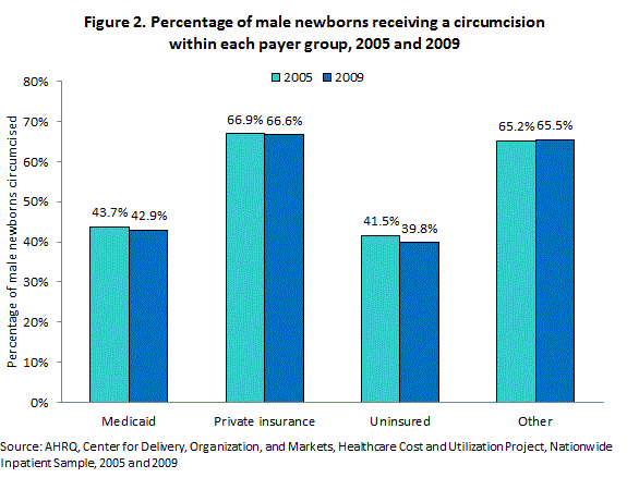 Figure 2 is a bar chart illustrating the percentage of male newborns receiving a circumcision within each payer group in 2005 and 2009.