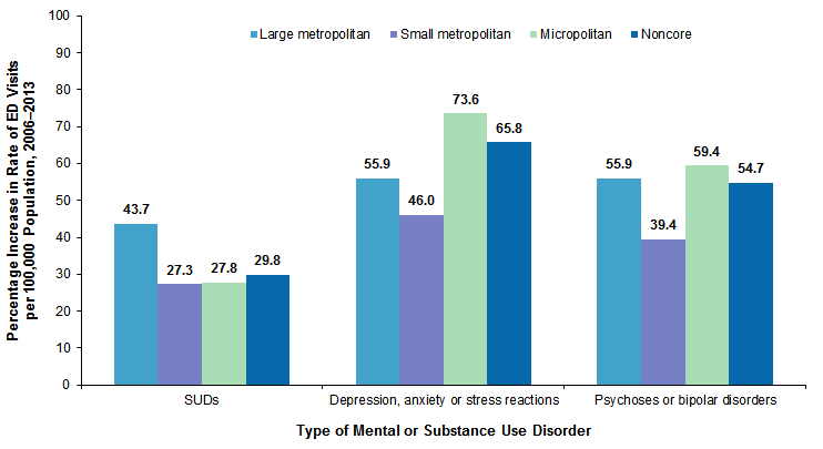 Figure 4 is a bar chart illustrating the percent increase in rate of emergency department visits related to mental and substance use disorders per 100,000 population by patient residence from 2006 to 2013. 