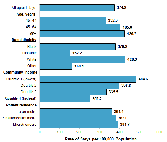 Figure 4 is a bar chart illustrating the rate of opioid-related inpatient stays among women per 100,000 population by patient characteristics in 2016. Data are provided in Supplemental Table 4.