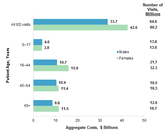 Figure 1 is a bar chart illustrating the aggregate ED visit costs and the number of ED visits by patient sex and age group in 2017.