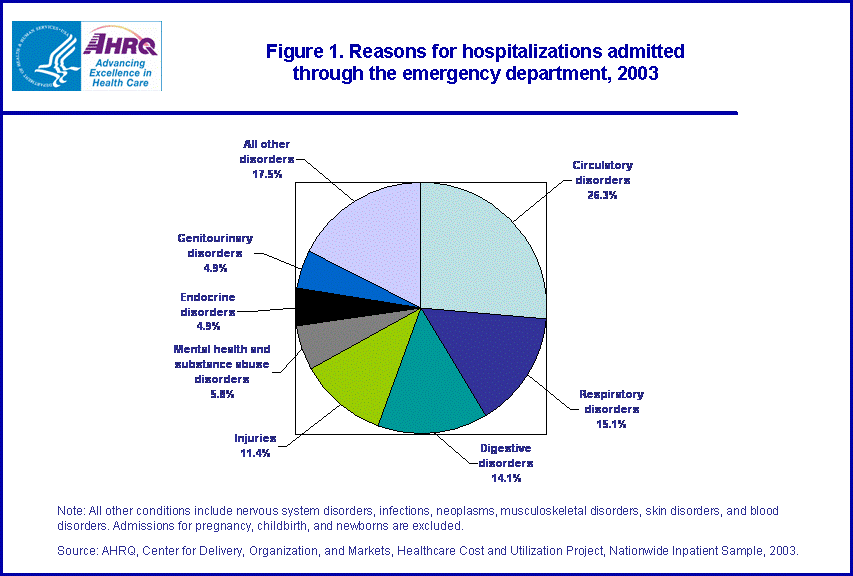 Figure 1: Pie chart of reasons for hospitalizations admitted through the emergency department in 2003
