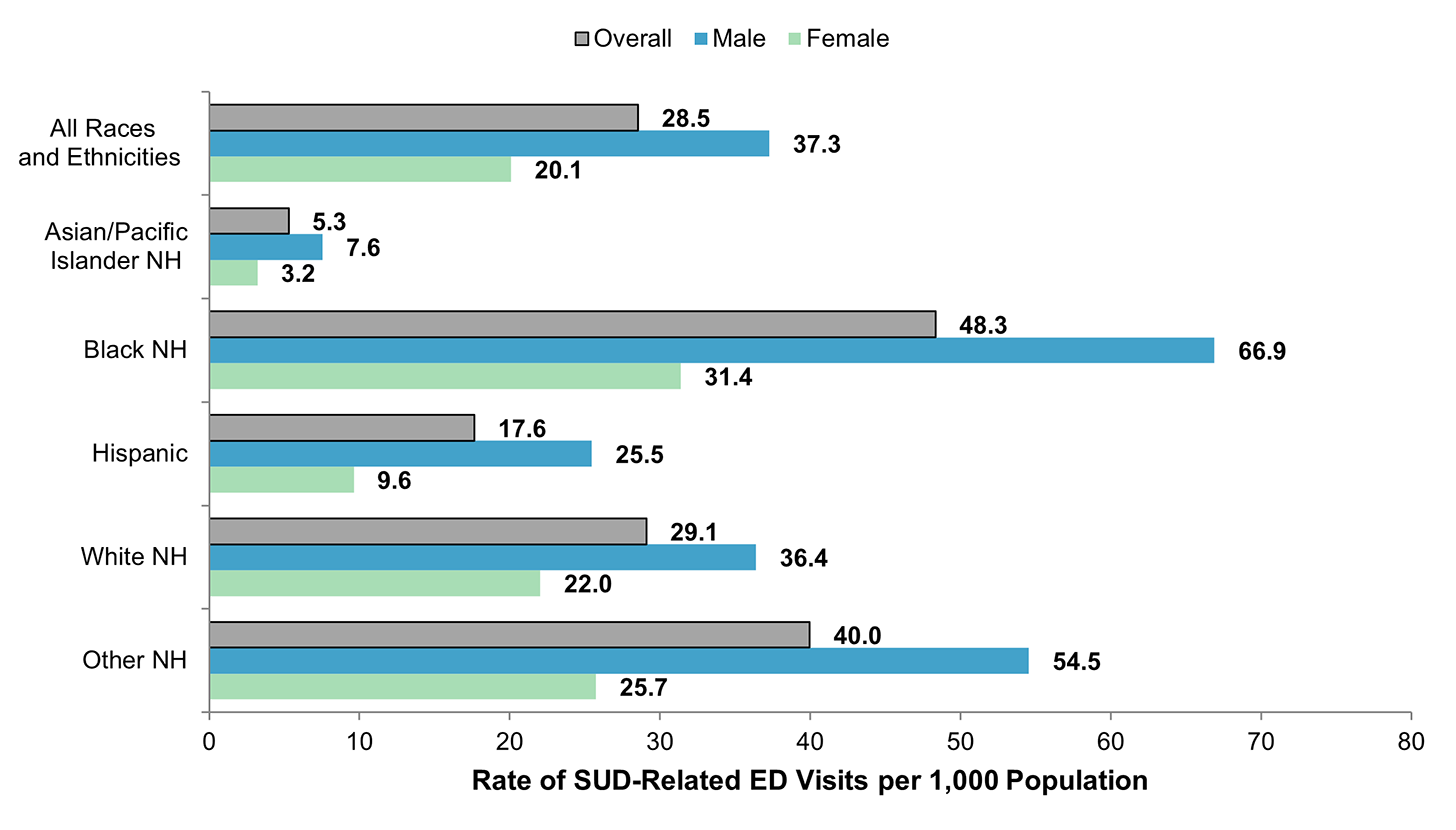 Bar chart showing the rate per 1,000 population of substance use disorder (SUD)-related emergency department (ED) visits in 2019 by sex and by race and ethnicity (Asian/Pacific Islander non-Hispanic [NH], Black NH, Hispanic, White NH, and other NH). Data are provided in Supplemental Table 1.