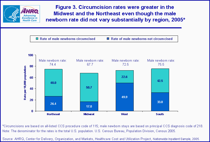 Figure 3. Circumcision rates were greater in the Midwest and Northeast even though the male newborn rate did not vary substantially by region, 2005