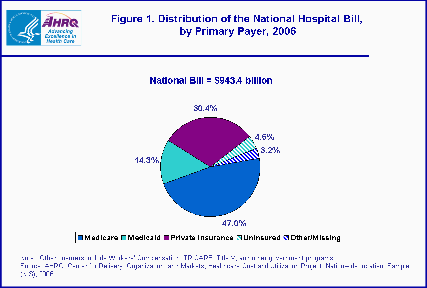 Figure 1. Distribution of the National Hospital Bill, by Primary Payer, 2006